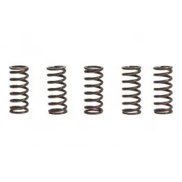 Ressorts d‘embrayage TRW 10% Renforcé x5 Yamaha FZR 600 M / FZR 600 N ... Gyors kiszállítás