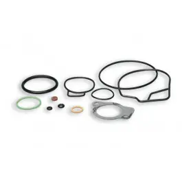 Biztonságos fizetés Kit joints de carburateur Dellorto PHVB