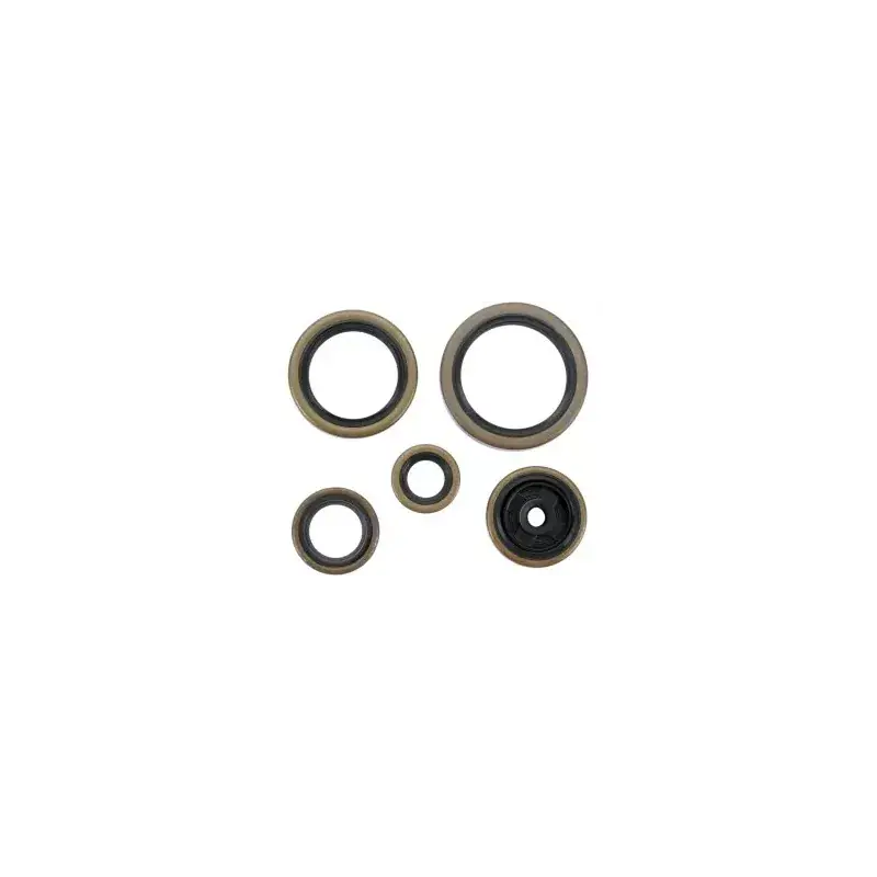 Expressz kézbesítés Kit Joints Spys Moteur KTM 250 EXC 04-16 et 250 SX 03-16 et 300 exc 03-16